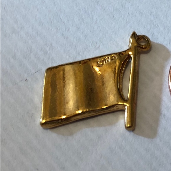 💙💛🤍💚❤️ Order of the Eastern Star Flag Charm 💙💛🤍💚❤️ RARE - Picture 4 of 5